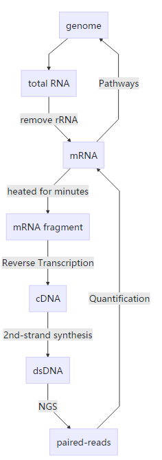RNA-seq 分析流程